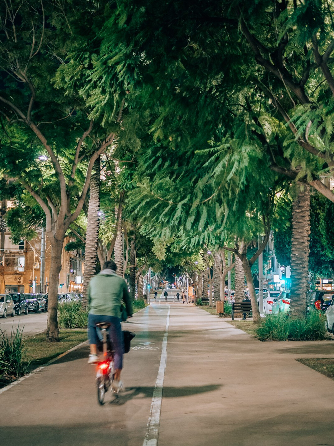 Cyclist riding through a city bike lane at dusk