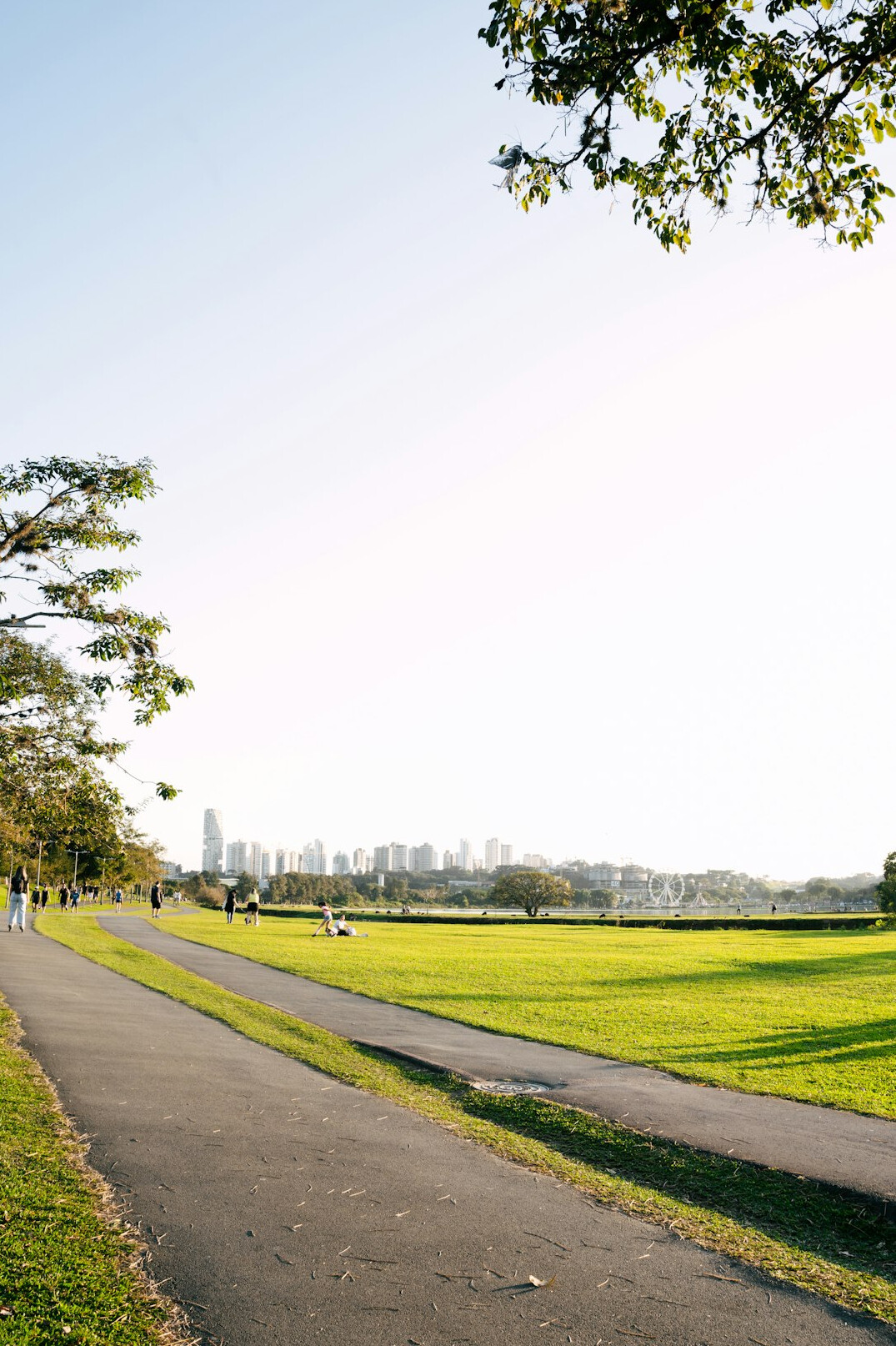 person walking through city park path