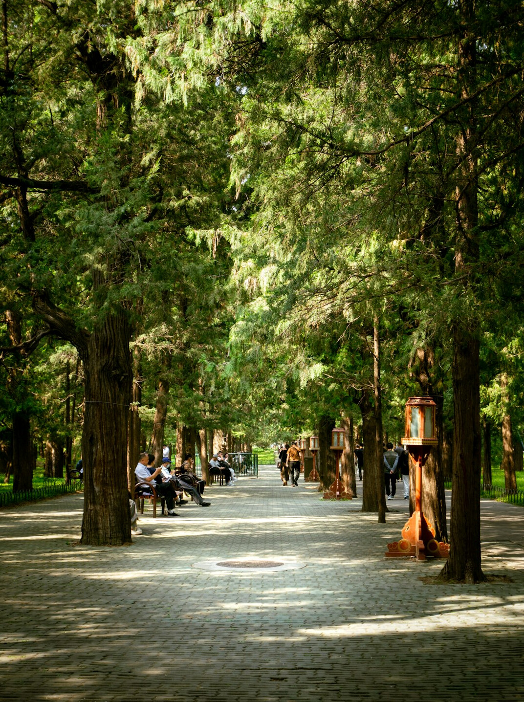 city bench with people sitting